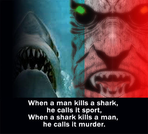 man versus shark kill graphic